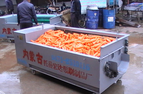 胡萝卜清洗机