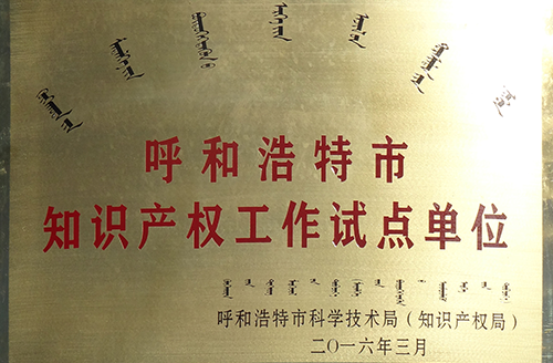 呼和浩特市知识产权工作试点单位