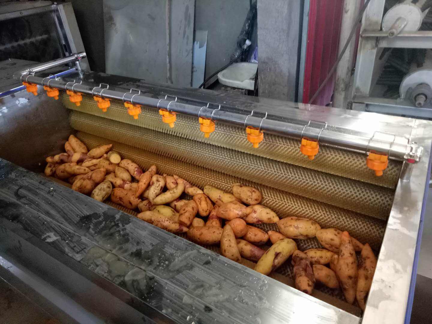 马铃薯清洗机