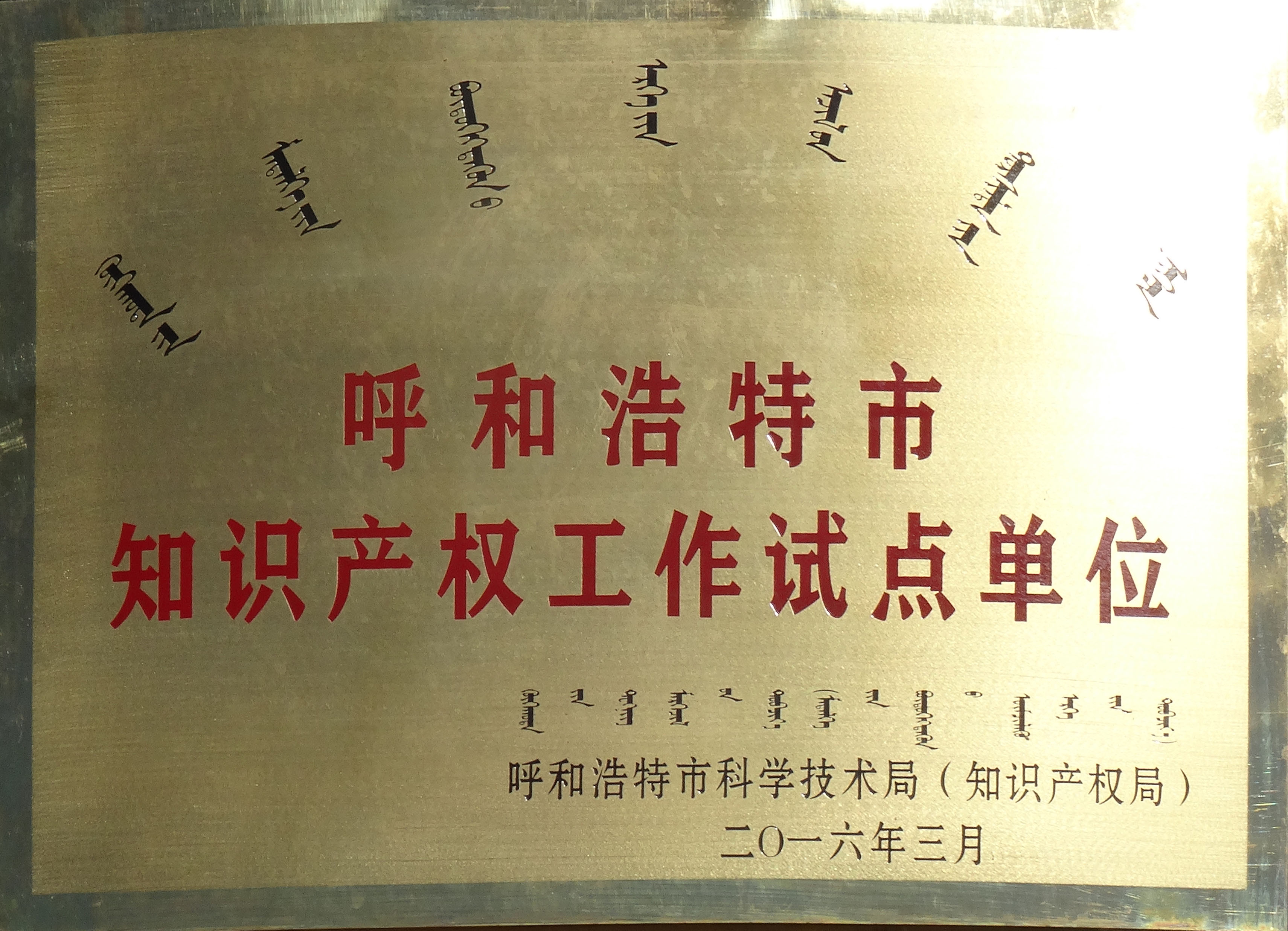 呼和浩特市知识产权工作试点单位