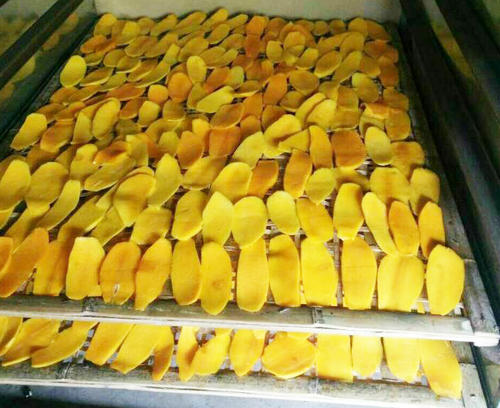 果蔬自动烘干机