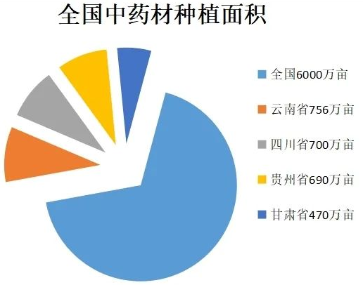 果蔬自动烘干机