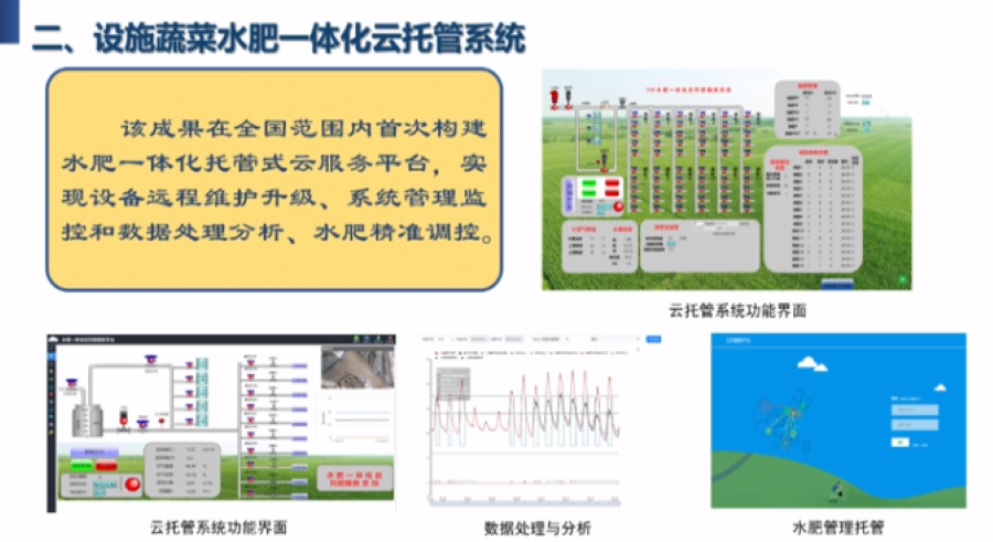 马铃薯清洗机