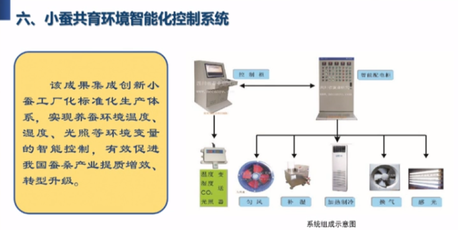 马铃薯清洗机